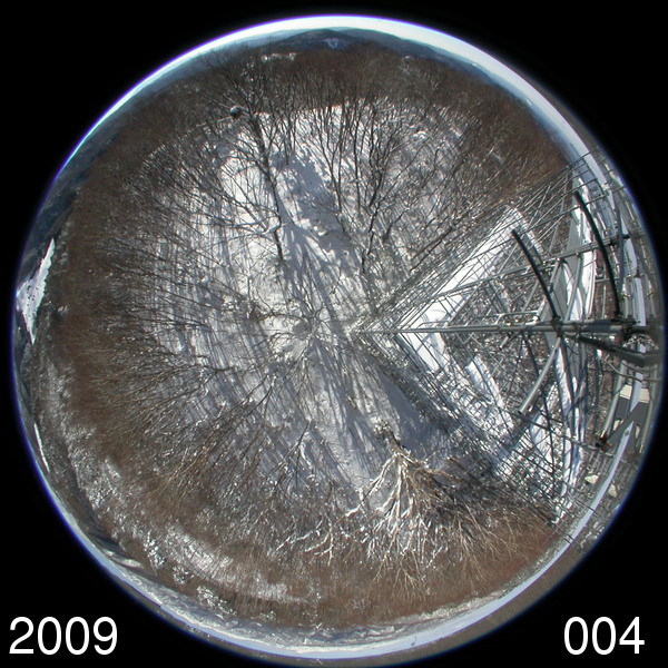 Canopy image (Winter)