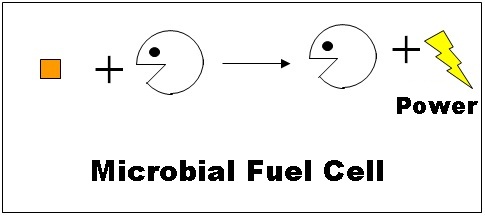 Granular activated carbon single chamber microbial fuel cells